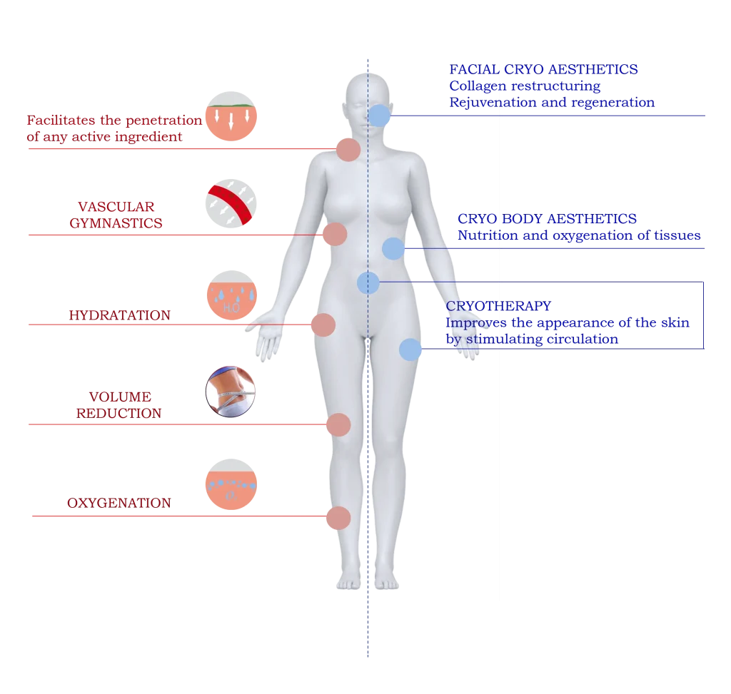 Diagram of the human body showing the benefits of aesthetic cryotherapy with Crio Therapy C, including hydration, oxygenation, volume reduction and circulation stimulation.