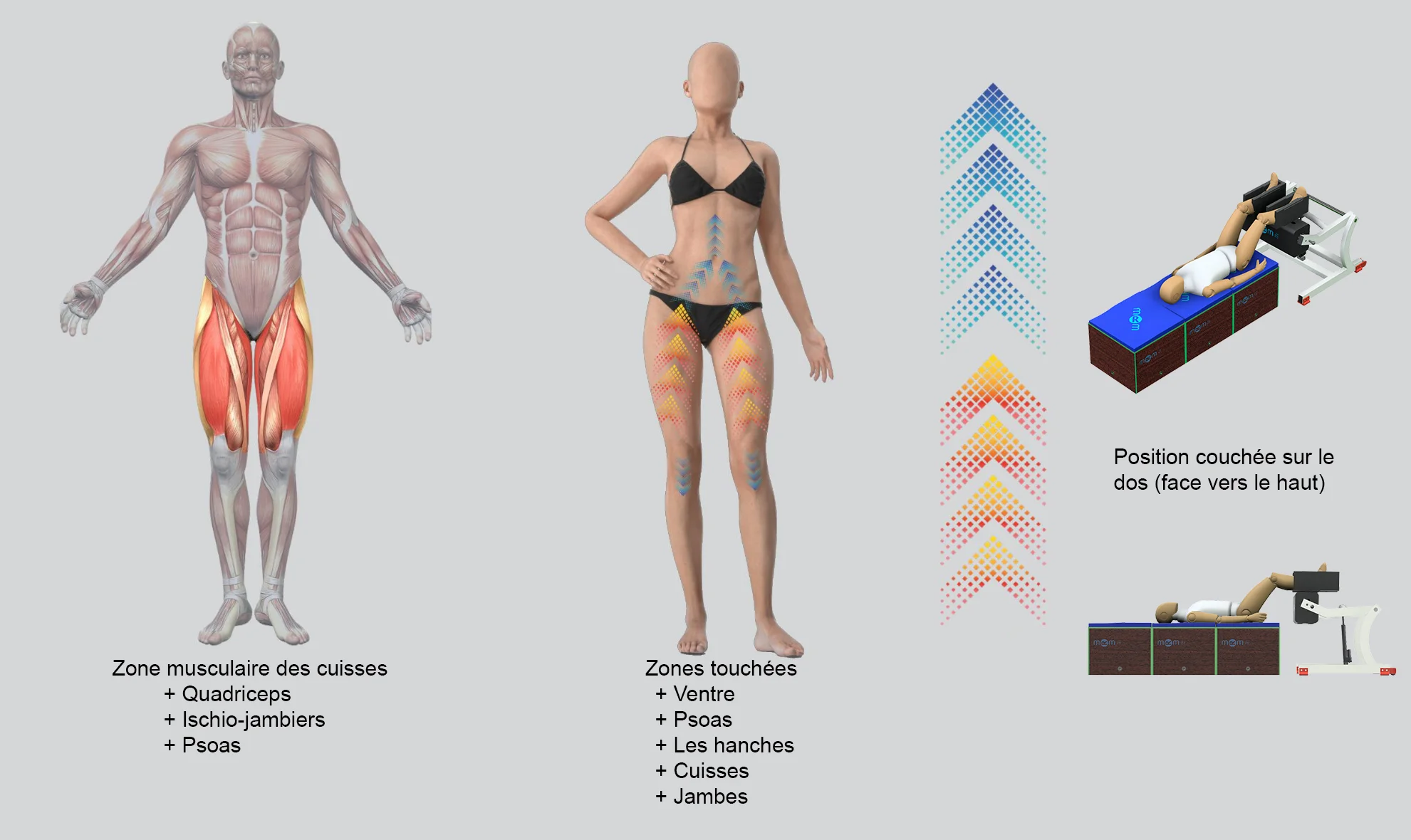 Traitement avec l'appareil MRM en position couchée pour tonifier et remodeler les membres inférieurs. L'infographie illustre la stimulation profonde des quadriceps, des ischio-jambiers, du psoas, des abdominaux, des hanches et des jambes.
